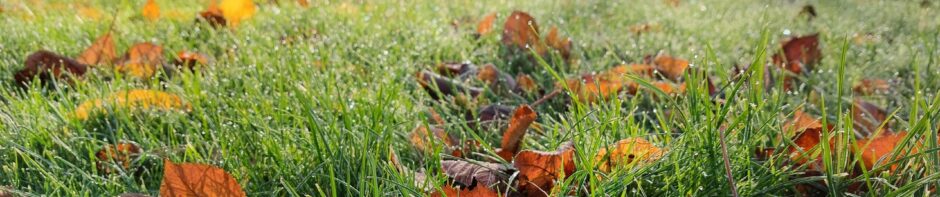 Teadmiste ja innovatsiooni s&uuml;steem